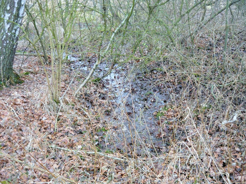 prameniště bez jména (5218) - leden 2012