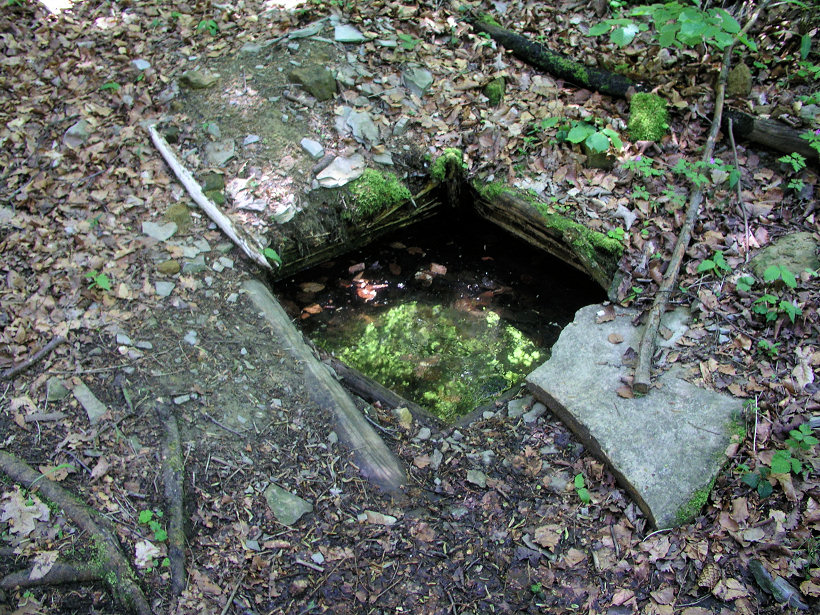 studánka bez jména (5233) - leden 2012