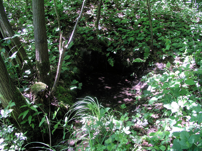 studánka bez jména (5234) - leden 2012