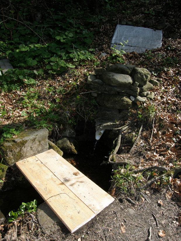studánka Pod Bukem (5262) - leden 2012