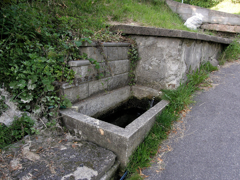 studánka bez jména (5266) - leden 2012