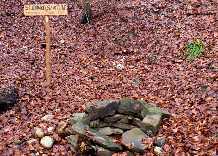 Studánka sv. Václava (5294) - leden 2012