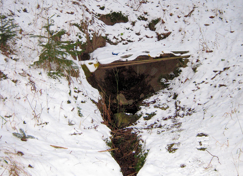 studánka Pavlíkův les (5298) - leden 2012