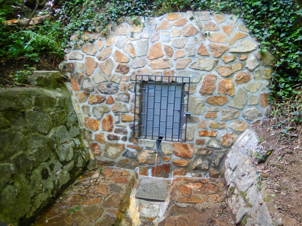 Česalova studánka (5304) - květen 2025