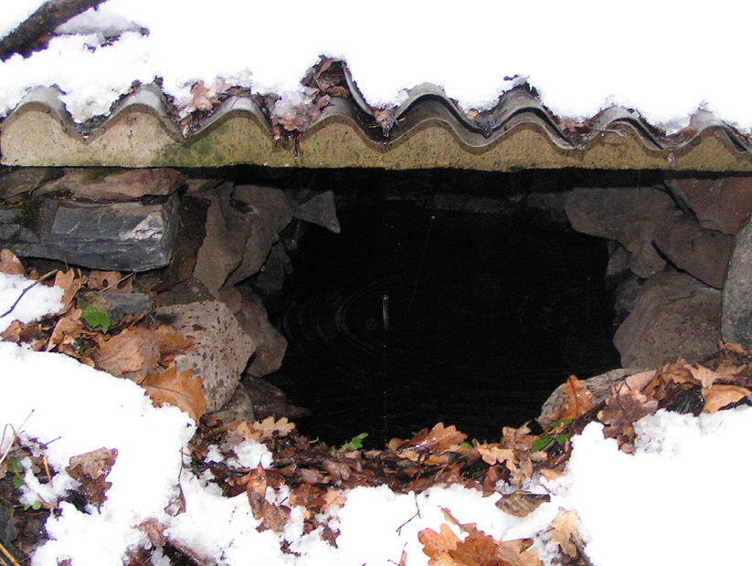 Studánka pod dubem (5315) - leden 2012