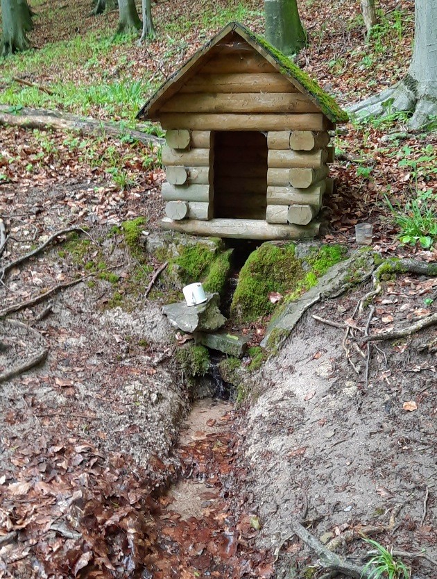 studánka Pod Hložcem (5330) - květen 2023