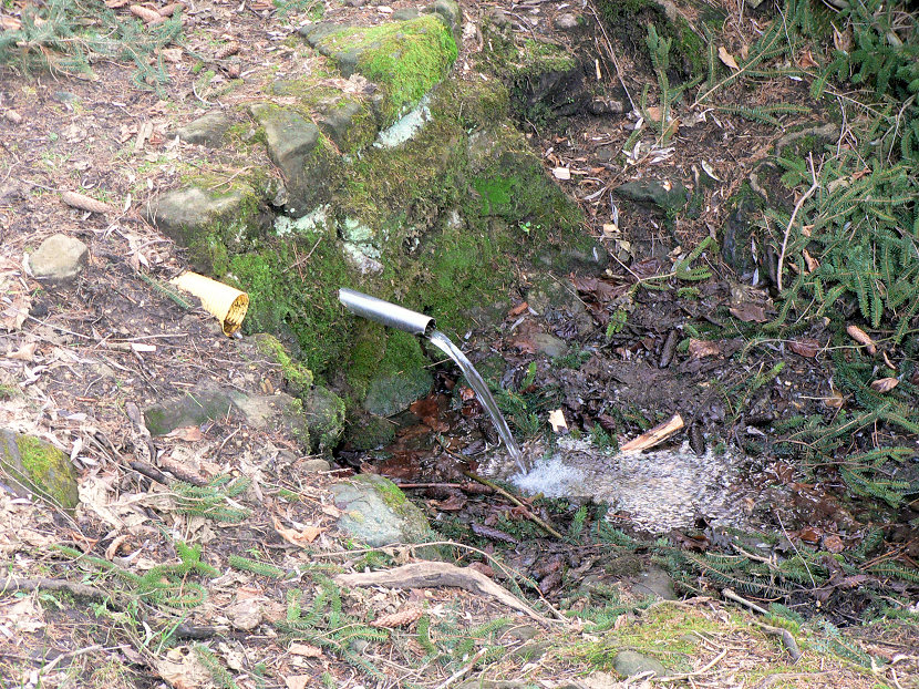 studánka Vranička (5332) - leden 2012