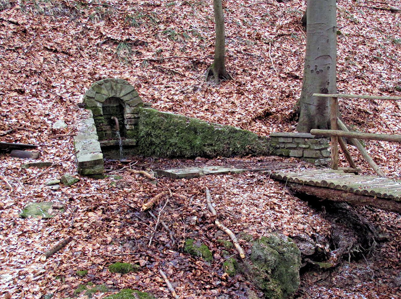 studánka U černého čápa (5352) - únor 2012