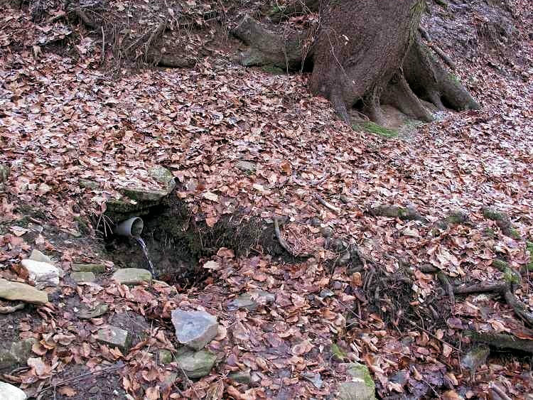 studánka bez jména (5353) - únor 2012