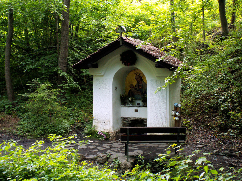 studánka Ve Žlábku (5360) - listopad 2021
