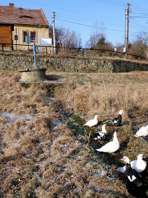 studna bez jména (5365) - únor 2012