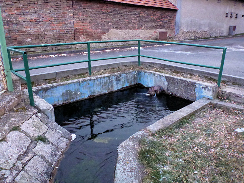 pramen Mlíčnice (5374) - únor 2012