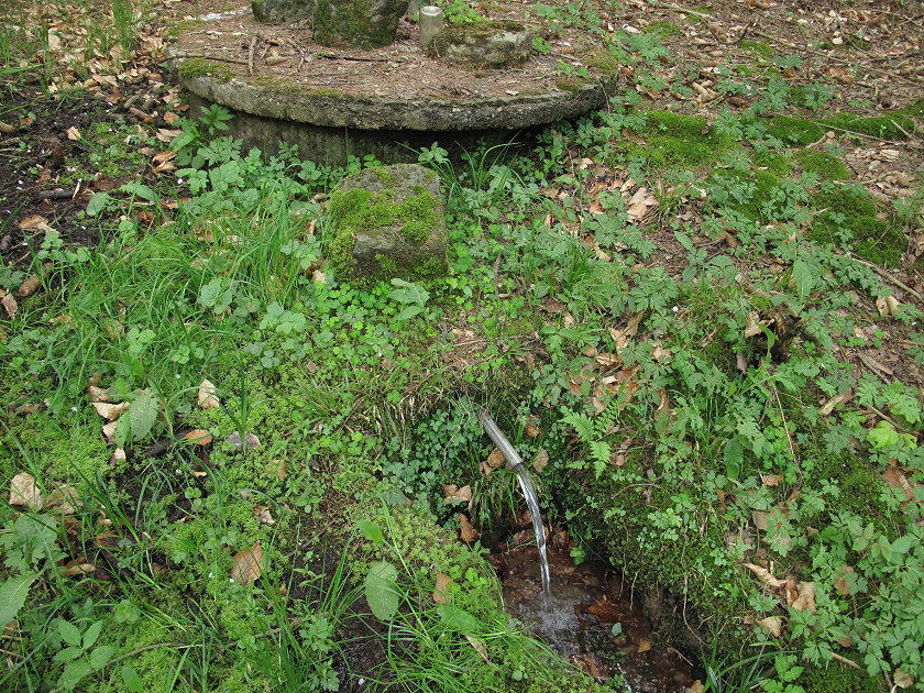 pramen Pekařovka (5387) - únor 2012
