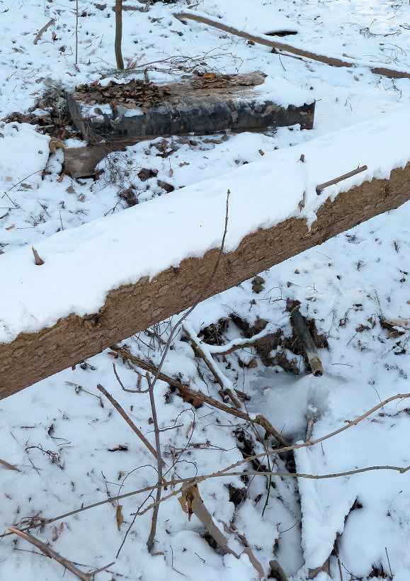 studánka bez jména (5402) - únor 2012