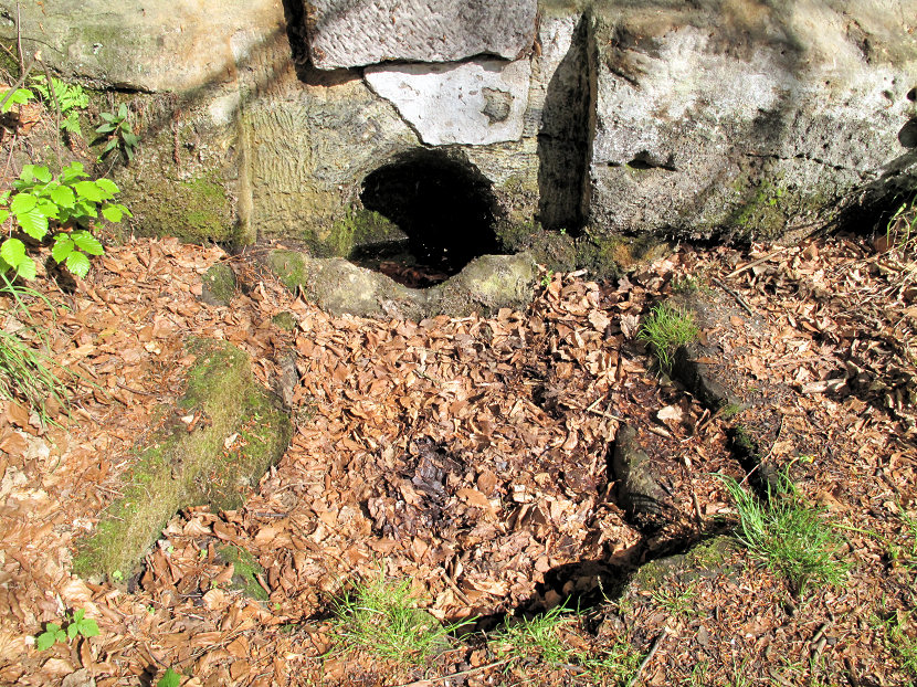 studánka bez jména (5405) - únor 2012