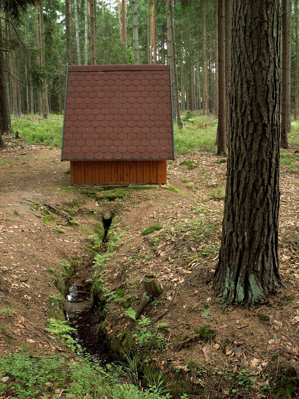 studánka Sednička (5428) - únor 2012