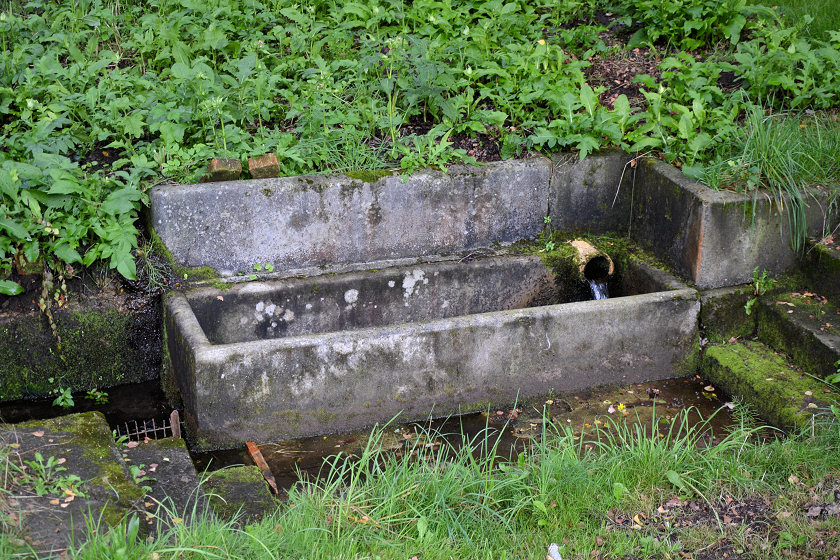 studánka Koryta (5446) - březen 2012