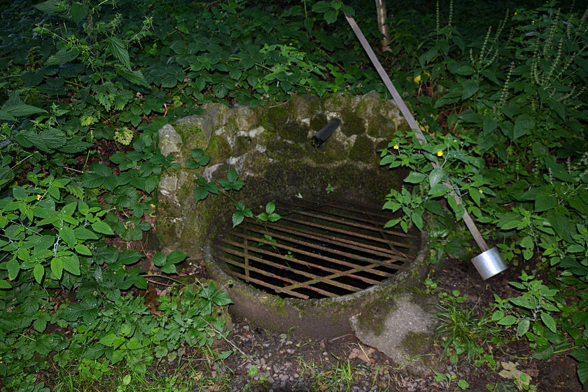 studánka bez jména (5447) - březen 2012