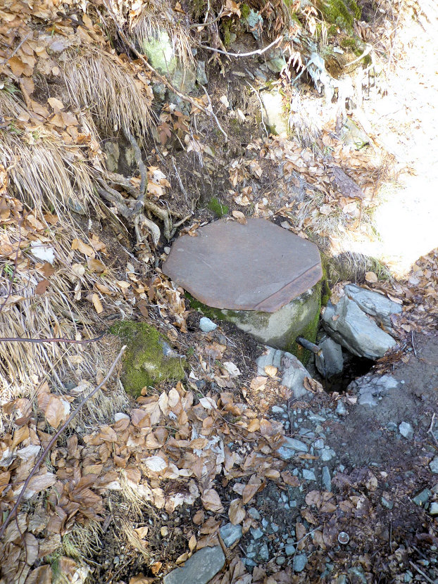studánka Pod pilou (5460) - březen 2012