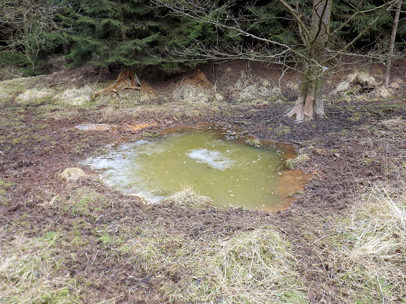 prameniště Pod Randovo vrchem (5468) - březen 2012