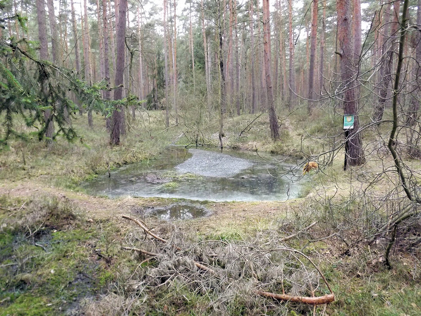 prameniště Tatinská Slatina (5470) - březen 2012