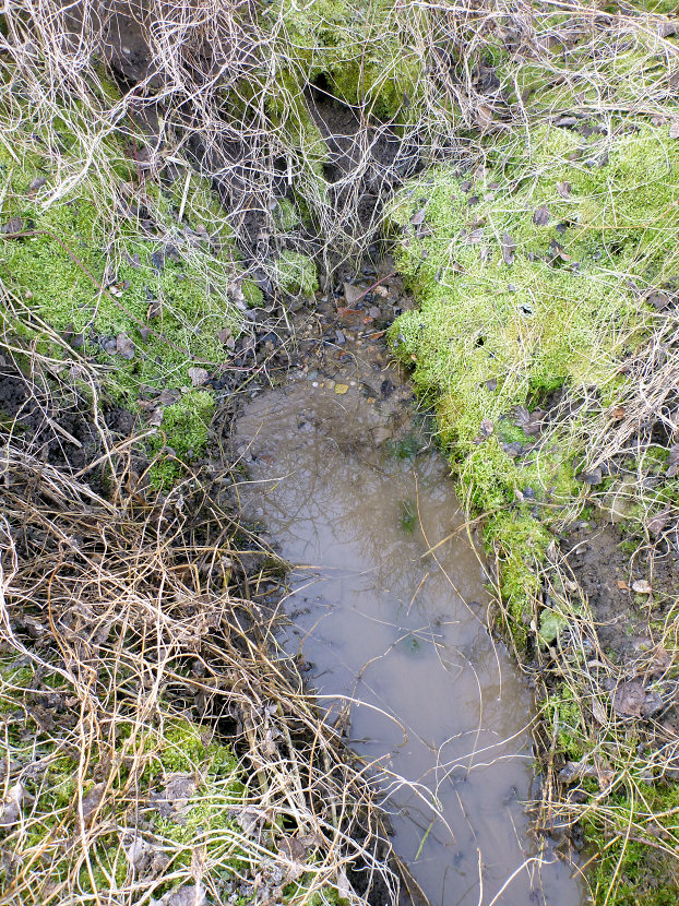 pramen Na Hvížďalce 5 (5476) - březen 2012