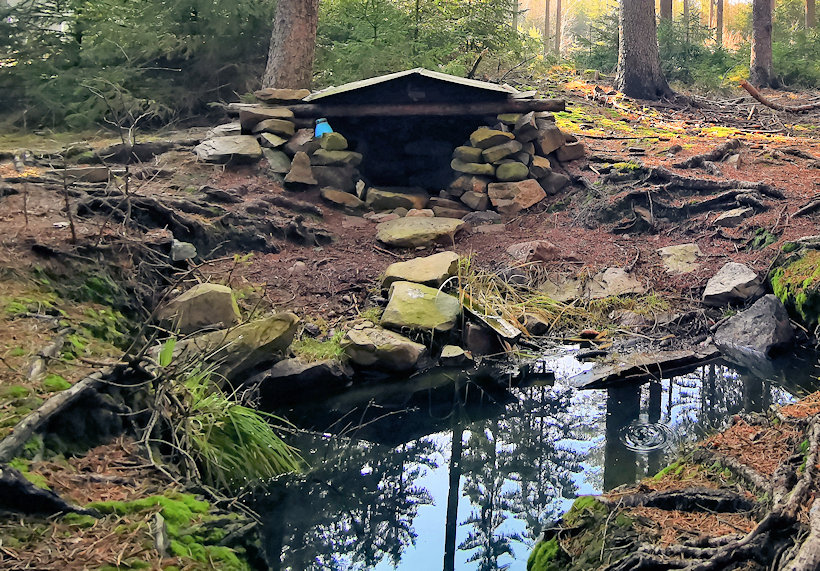 studánka Na Valech (5479) - únor 2021