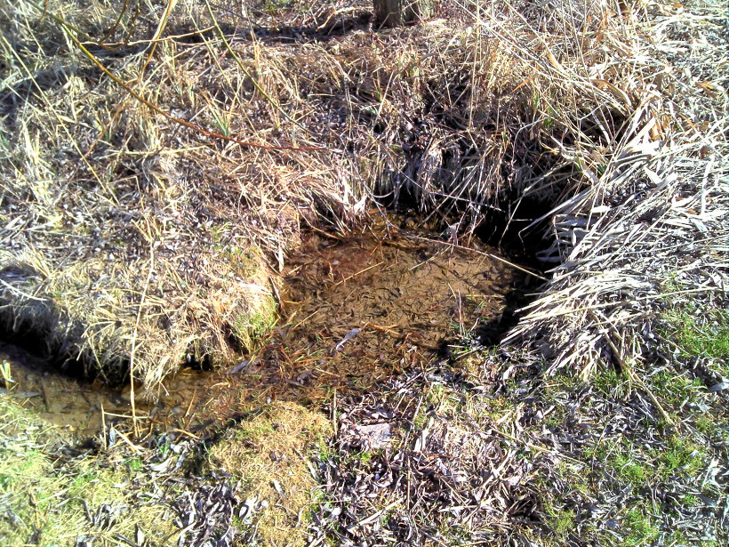 studánka Ratajská (5495) - březen 2012