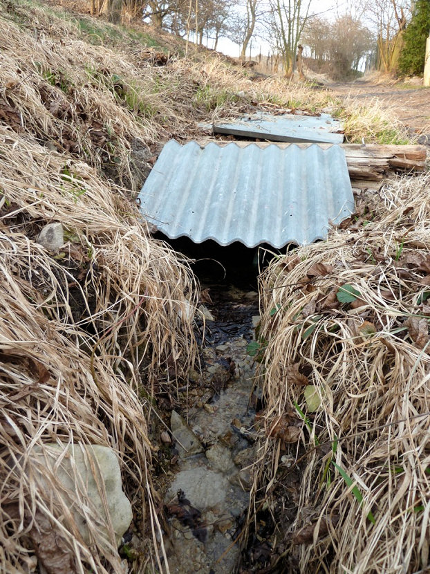 studánka bez jména (5498) - březen 2012
