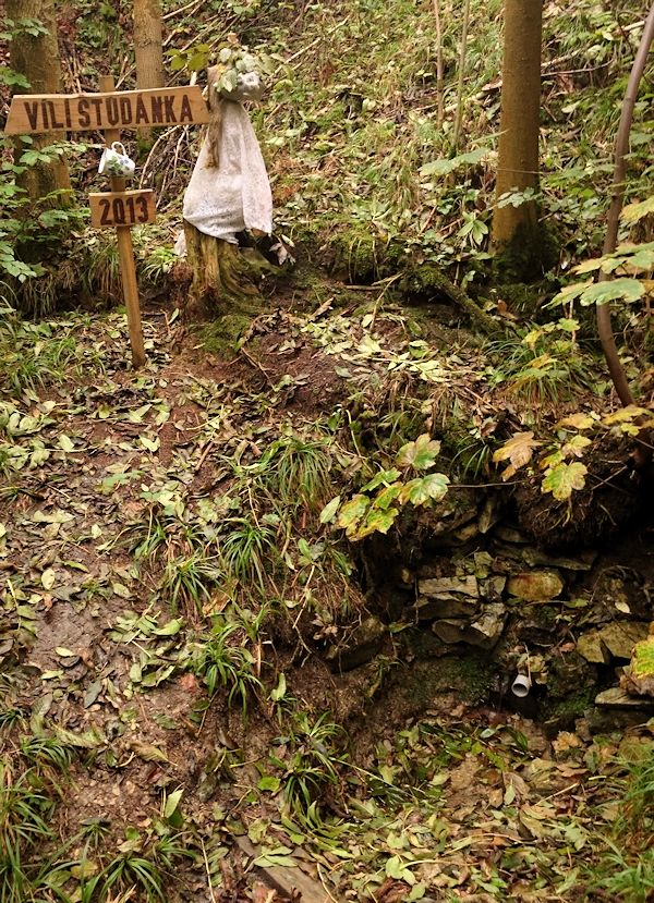 Vílí studánka (5499) - datum neznámé