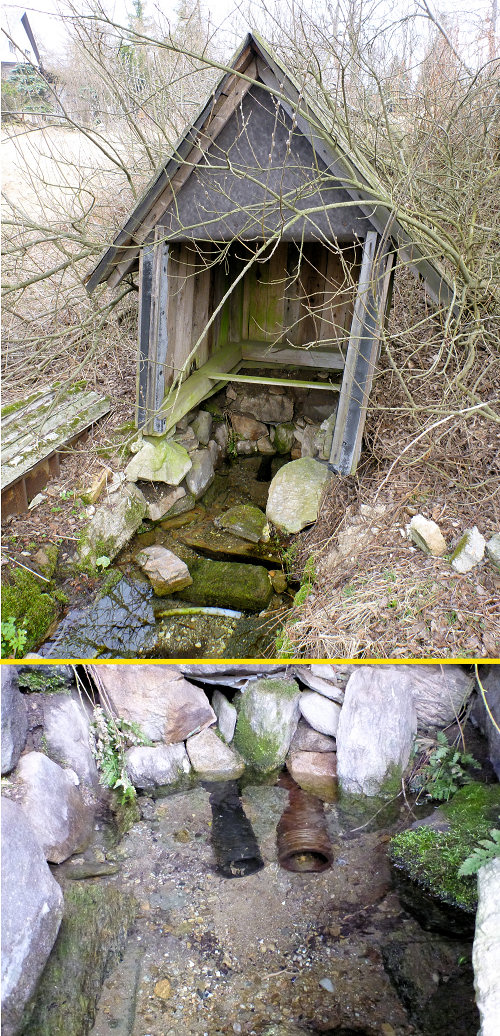 pramen Pod Tvrdkovými (5506) - březen 2012