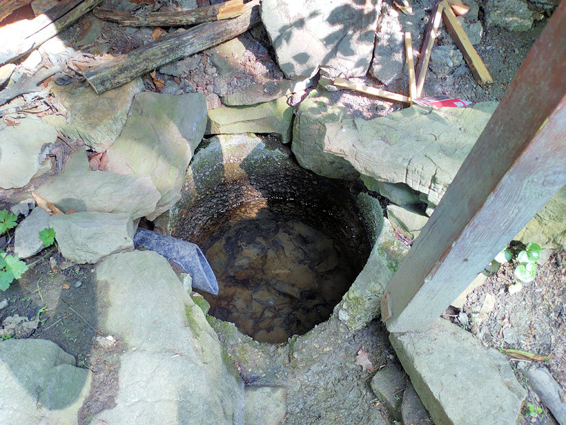 studánka Bílá studna (5519) - červen 2022
