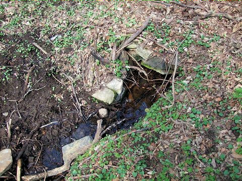 studánka bez jména (5531) - duben 2012