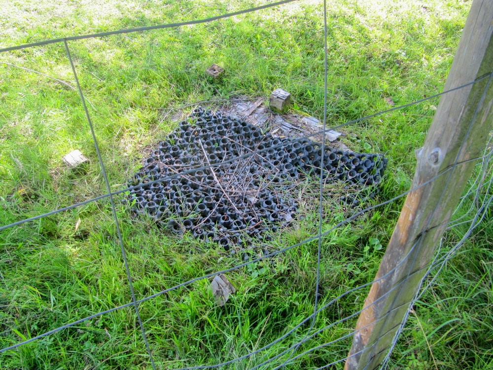 studánka U Tachova (5551) - srpen 2025