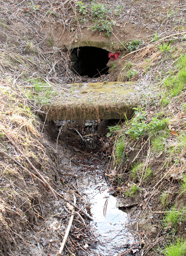 studánka V Jestřábí rokli (5556) - duben 2012