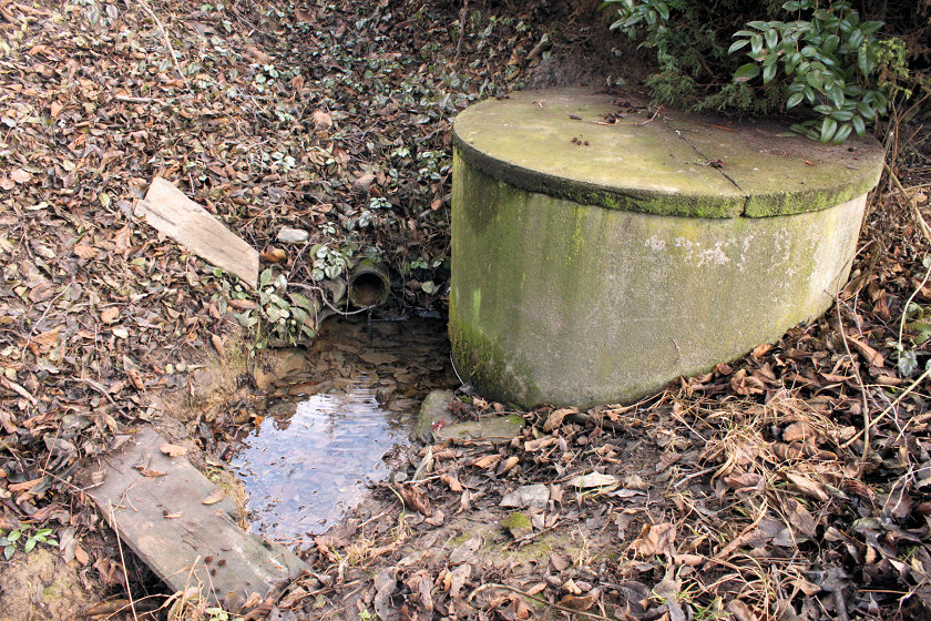 studánka bez jména (5563) - duben 2012