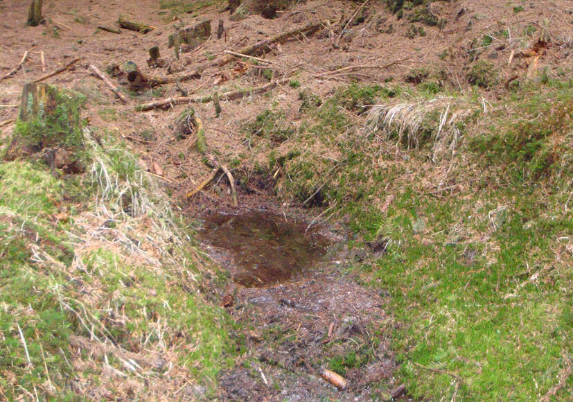 prameniště bez jména (5576) - duben 2012