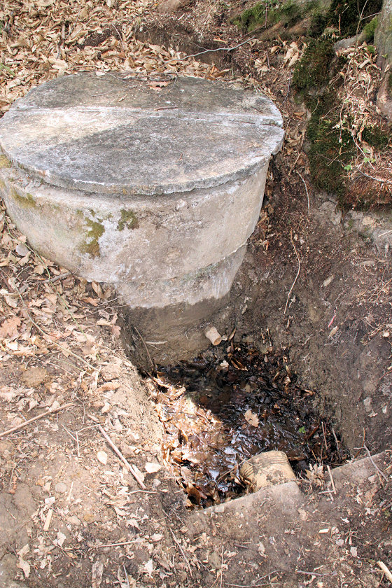studánka U habra (5579) - duben 2012