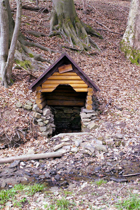 studánka Kuželův vesník (5591) - duben 2012