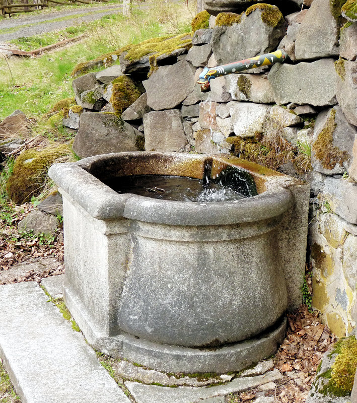 studánka Pod skalkami skřítků (5594) - duben 2012