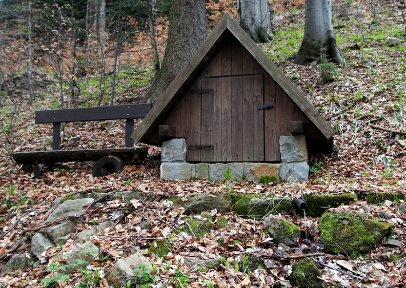studánka V Halvovském potoce (5609) - květen 2012