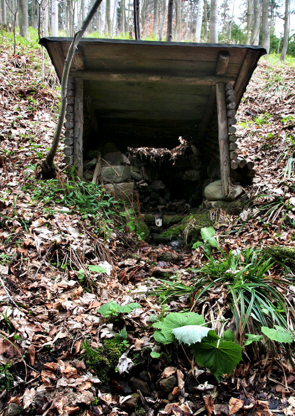 studánka Pod Rančem (5611) - květen 2012