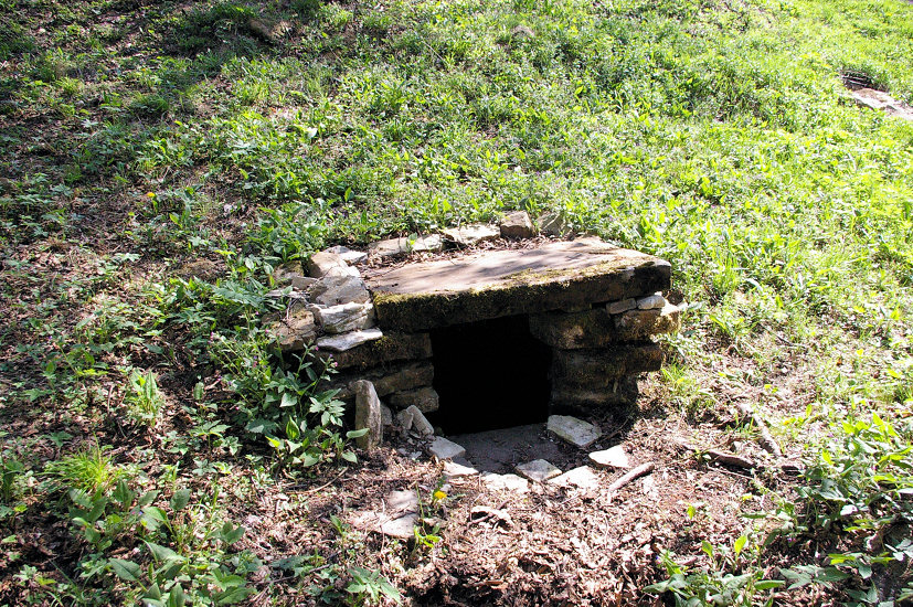 studánka U kapličky (5616) - květen 2012