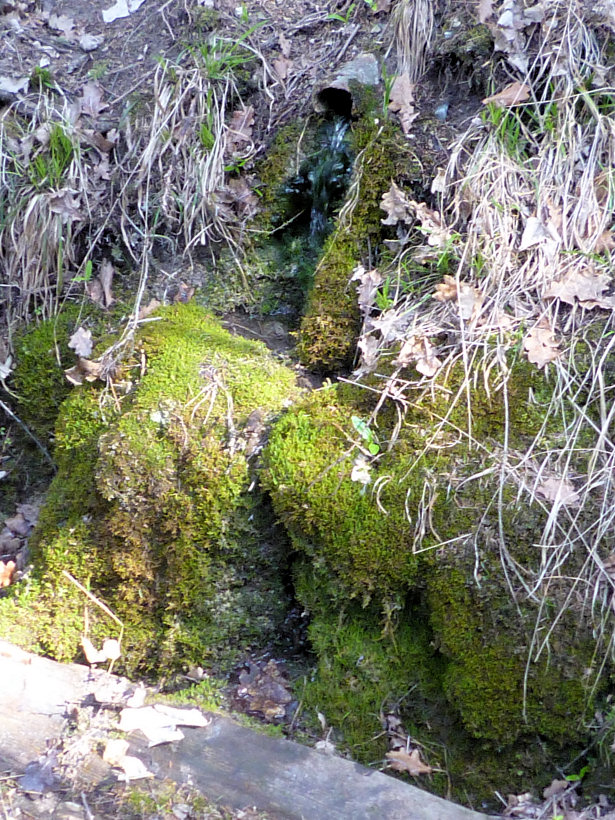 studánka Libušinka (5618) - květen 2012