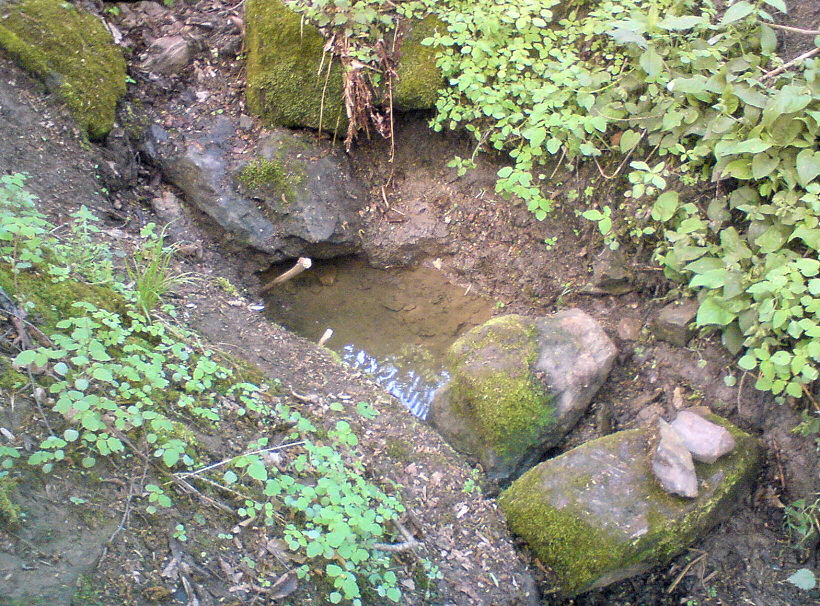 pramen V Rokli  (5622) - květen 2012