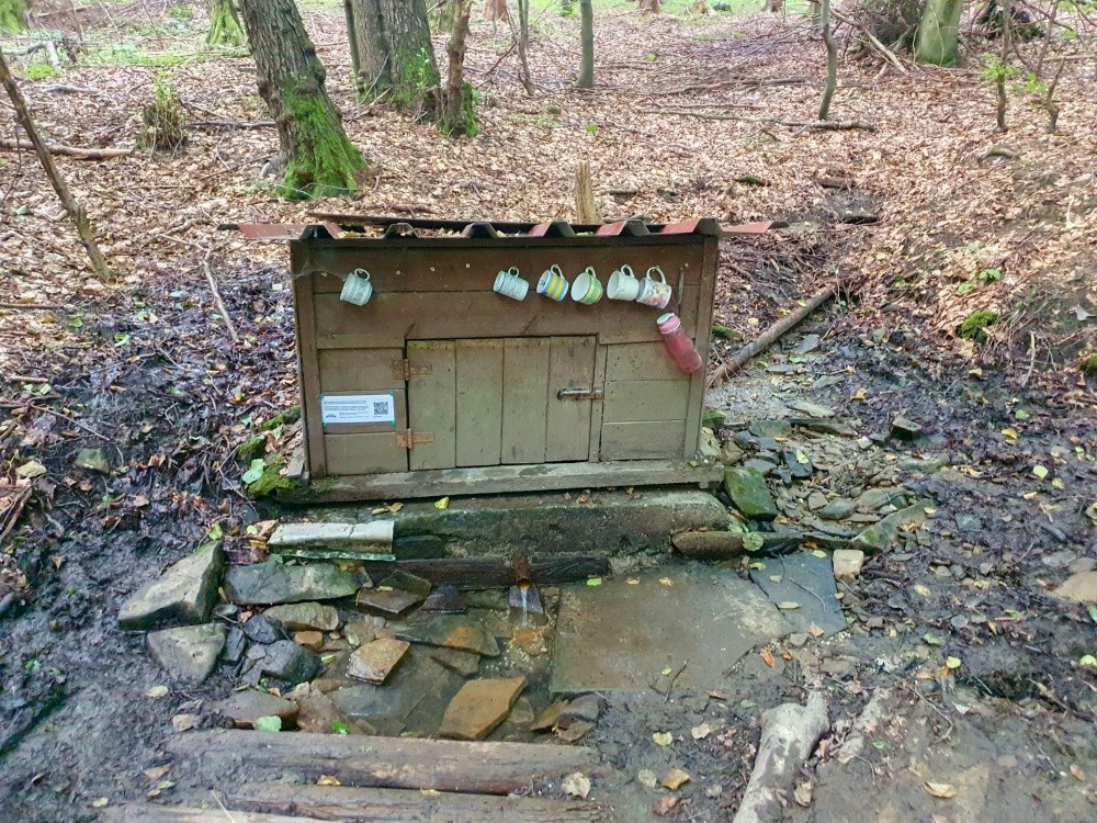 studánka Na koncích (5625) - červenec 2024