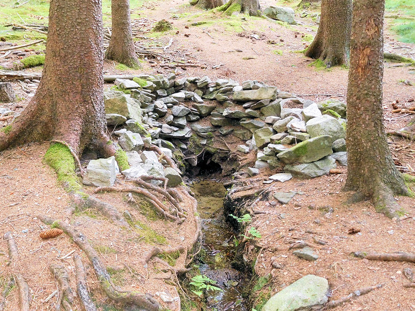 studánka Na Suchém vrchu (5629) - datum neznámé