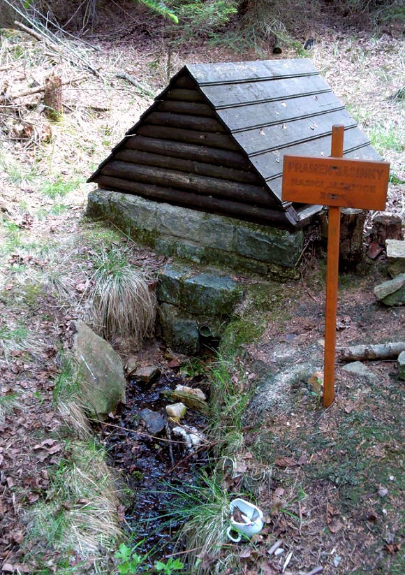studánka bez jména (5649) - květen 2012