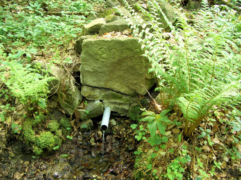 studánka Pod Slavickým kopcem (5651) - květen 2012