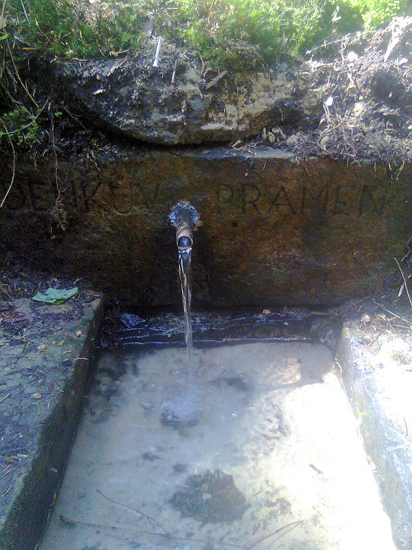 Zdeňkův pramen (5660) - květen 2012